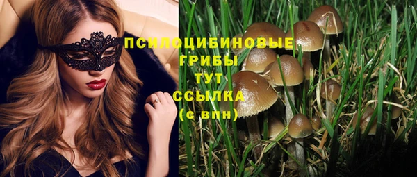 стаф Абаза