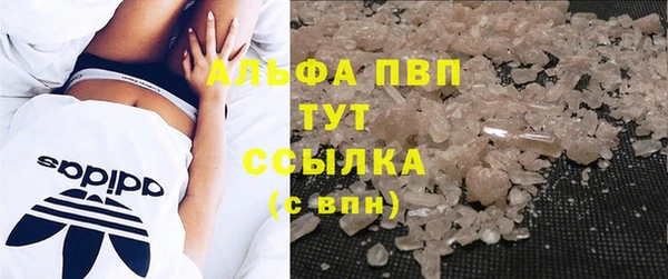 стаф Абаза
