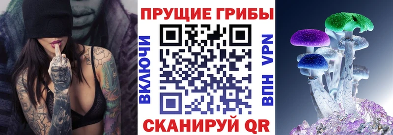 где купить наркоту  Сухой Лог  Галлюциногенные грибы мицелий 